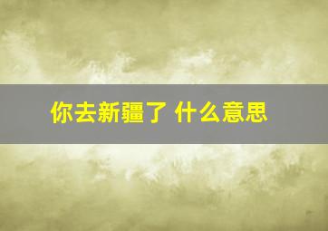 你去新疆了 什么意思